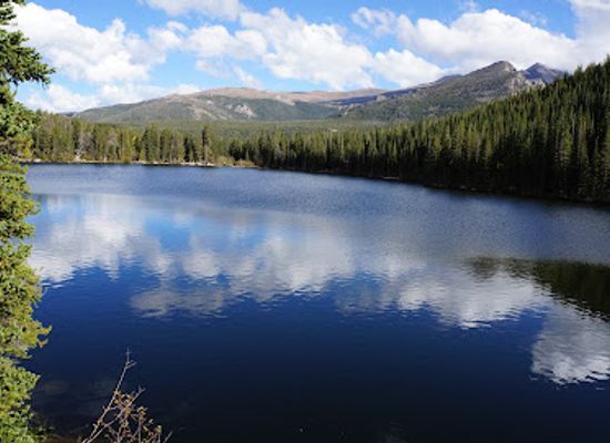 colorado/rocky-mountain-national-park/attraction/estes-park-visitor-center