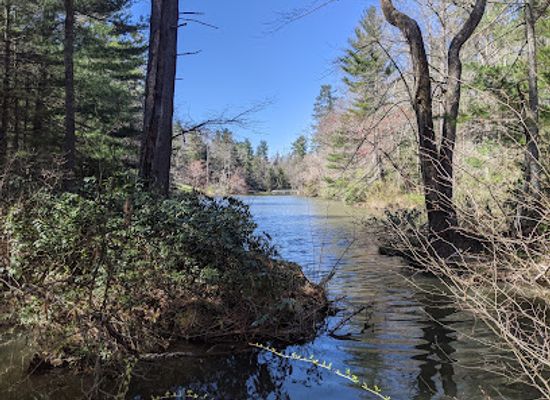 north-carolina/sandhills/attraction/carl-sandburg-home-national-historic-site