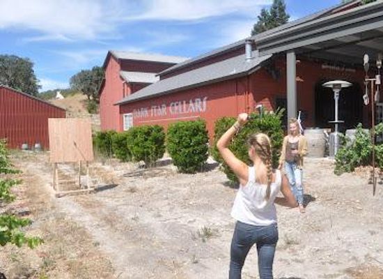 california/central-coast/attraction/dark-star-cellars