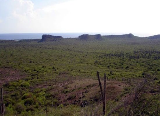 curacao/sta-catharina/attraction/landhuis-fuik-ruins