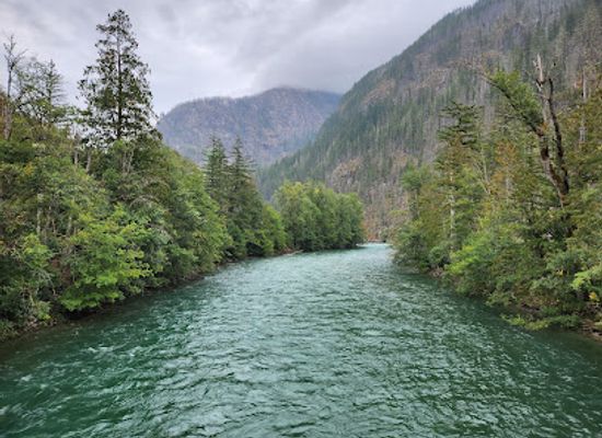 washington/northern-cascades/attraction/trail-of-the-cedars