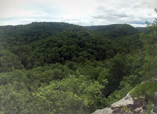 kentucky/cumberland-plateau/attraction/beaver-creek-wma