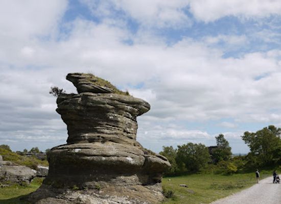 united-kingdom/yorkshire-dales-national-park/attraction/national-trust-brimham-rocks