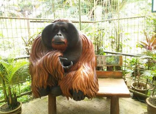 malaysia/northern-region/attraction/bukit-merah-orang-utan-island-foundation