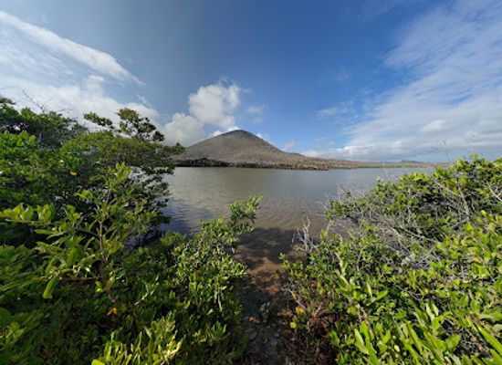 ecuador/northern-sierra/attraction/punta-cormorant
