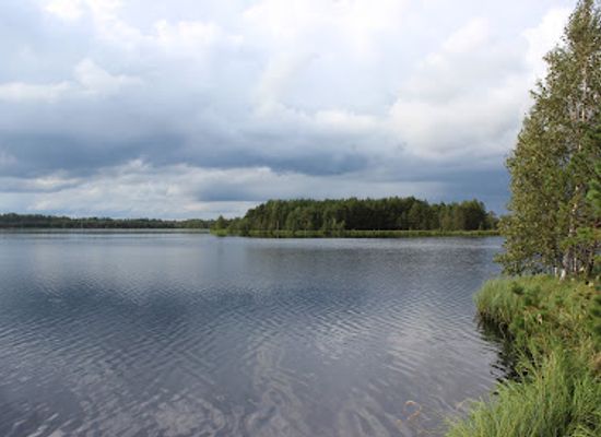estonia/lahemaa-national-park/attraction/linnumae-nature-farm