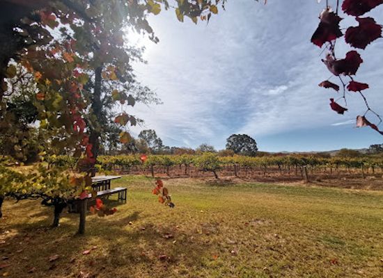 australia/barossa-valley/attraction/burge-family-winemakers