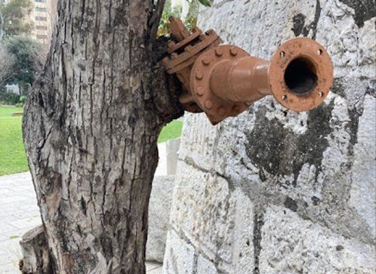 gibraltar/main-street/attraction/pipe-in-the-tree