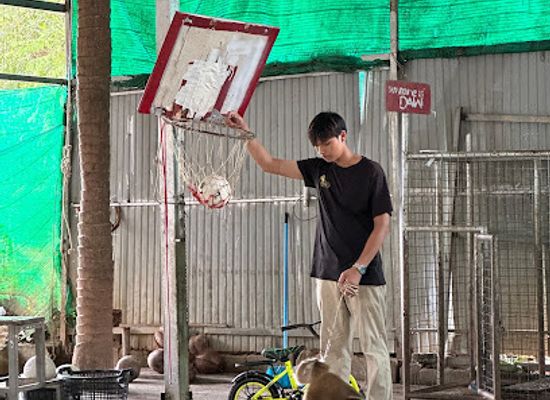 thailand/phuket/attraction/kathu-monkey-show