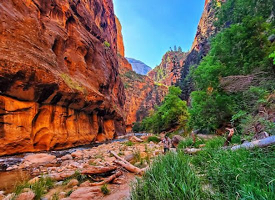 utah/zion-national-park/attraction/the-narrows