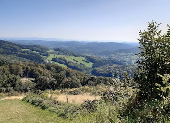 germany/altbayern/attraction/willi-scheiter