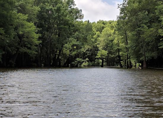 tennessee/hatchie-river-area/attraction/lower-hatchie-national-wildlife-refuge