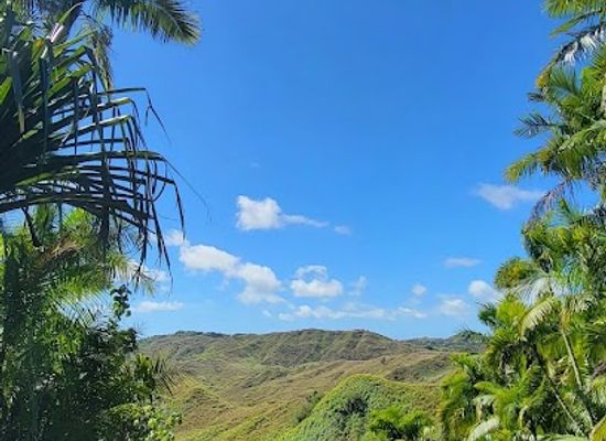 guam/mount-jumullong-manglo/attraction/maguagua-falls