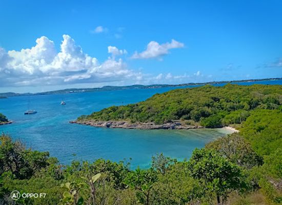 antigua-and-barbuda/hell-s-gate/attraction/great-bird-island
