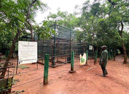 ghana/brong-ahafo/attraction/achimota-forest