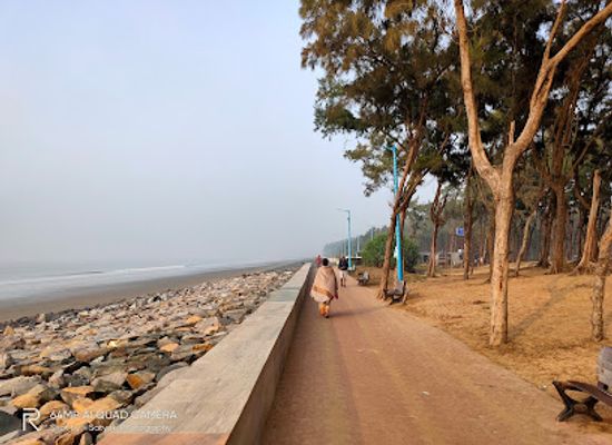 india/digha/attraction/sea-beach-forest