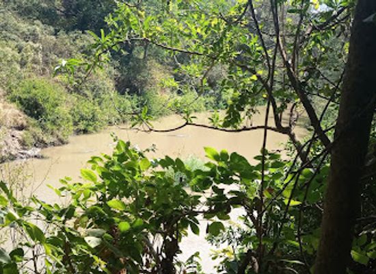 malawi/phalombe-plains/attraction/lilongwe-nature-sanctuary