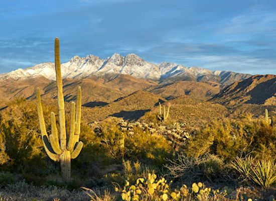 arizona/tonto-national-forest/attraction/four-peaks-wilderness-area