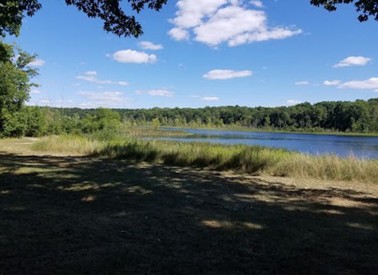 indiana/pokagon-state-park/attraction/trine-state-recreation-area-towhee
