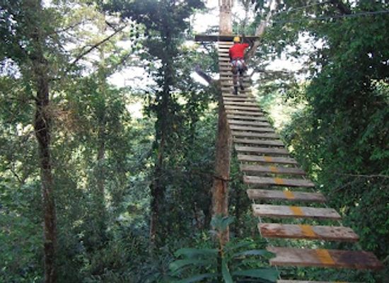 panama/bocas-del-toro/attraction/bastimentos-sky-zipline-canopy-tour
