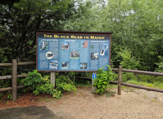 maine/western-maine-mountains/attraction/maine-wildlife-park