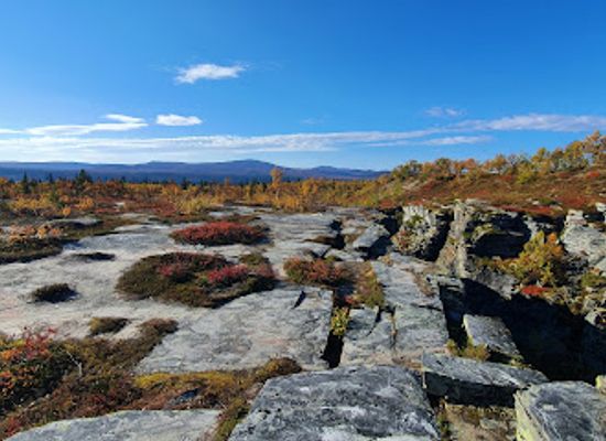 sweden/harjedalen/attraction/evagraven