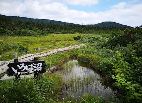 japan/dewa/attraction/iroha-marsh