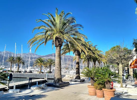 montenegro/kotor-bay/attraction/porto-montenegro-watch
