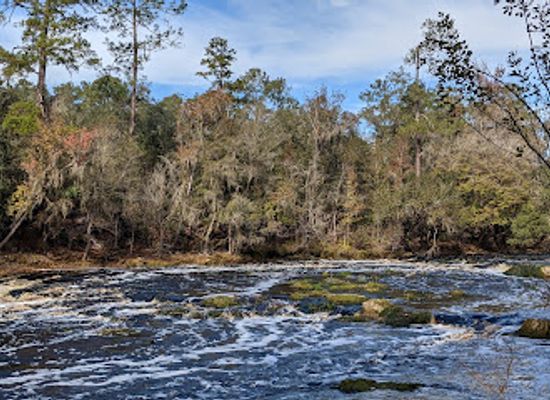 florida/santa-fe-river/attraction/big-shoals-wildlife-management-area-zone-b
