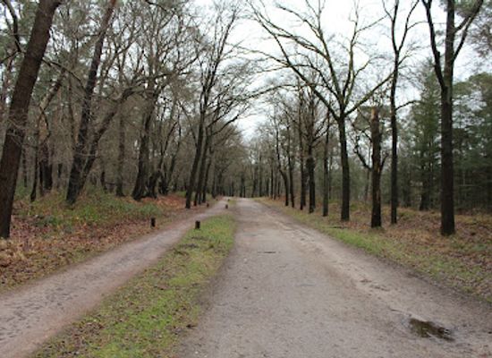 netherlands/west-friesland/attraction/recreation-area-the-pit-of-drakensteyn