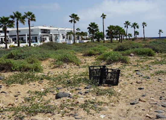 cabo-verde/praia-de-chaves/attraction/shell-cemetery-beach