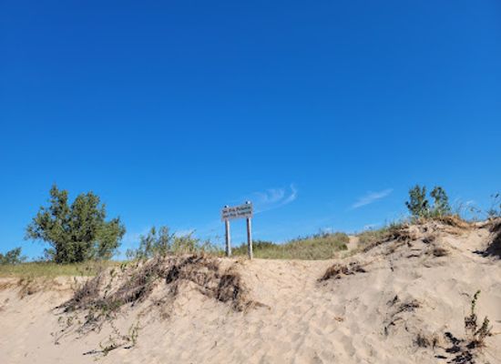 michigan/silver-lake-sand-dunes/attraction/mac-wood-s-dune-rides