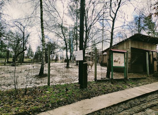hungary/miskolc/attraction/barathegyi-szimbozis-alapitvany-parkolo