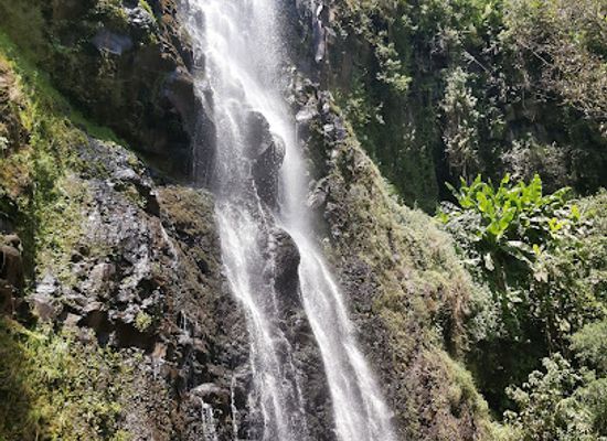 kenya/aberdare-national-park/attraction/zaina-falls