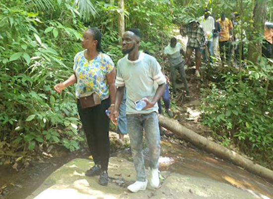 ghana/central-region/attraction/nyankomasu-waterfalls