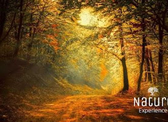 italy/sicily/attraction/riserva-naturale-orientata-bosco-di-malabotta-rocche-d-argimusco