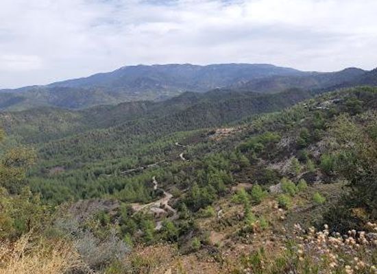 cyprus/polis-chrysochous/attraction/paphos-forest