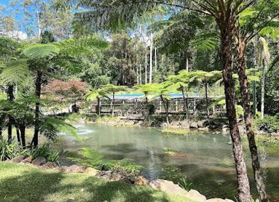 australia/gold-coast/attraction/tamborine-mountain