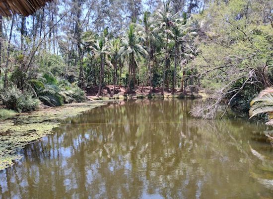 kenya/coastal-region/attraction/butterfly-pavilion