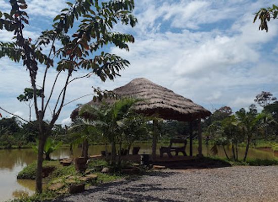 cameroon/yaounde/attraction/eco-park