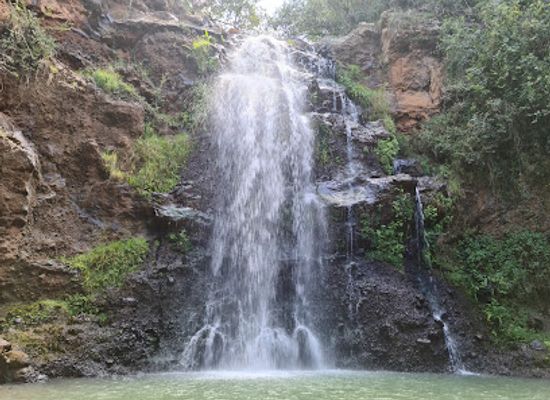 kenya/laikipia-plateau/attraction/ngare-ndare-forest-park