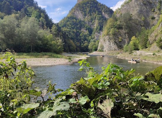 slovakia/pieniny-national-park/attraction/prielom-lesnickeho-potoka