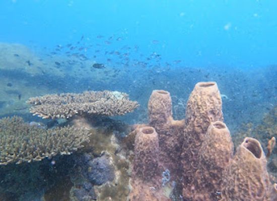 cambodia/preah-sihanouk/attraction/pink-mountains-diving-and-snorkeling-area
