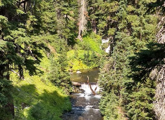 oregon/cascade-range/attraction/wickiup-plains-trailhead
