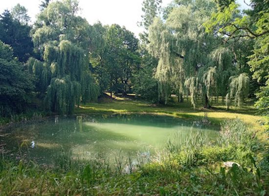 slovakia/tekov/attraction/arboretum-borova-hora