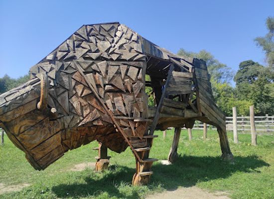 moldova/balti/attraction/bison-reserve