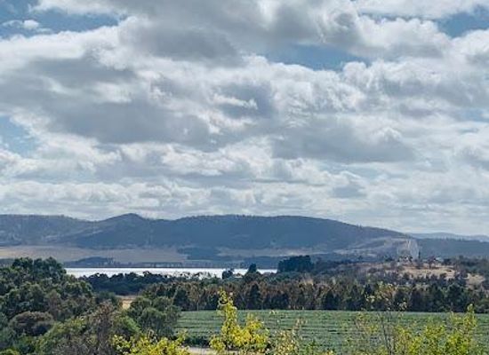australia/hobart/attraction/craigow-vineyard