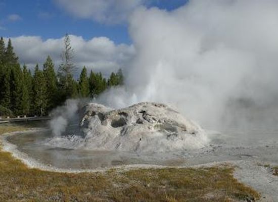montana/yellowstone-national-park/attraction/grotto-geyser