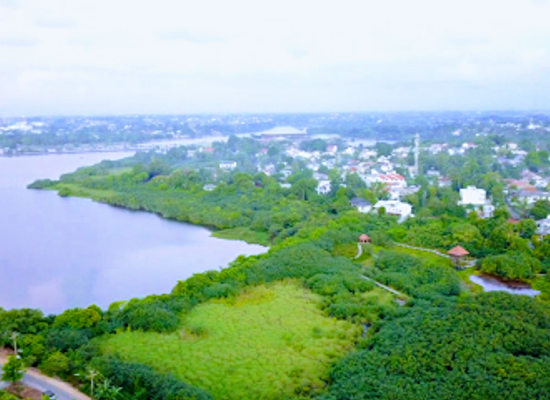 sri-lanka/gampaha-district/attraction/beddagana-wetland-park