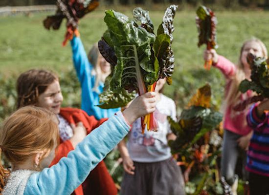jersey/saint-saviour/attraction/sprouts-farm-club